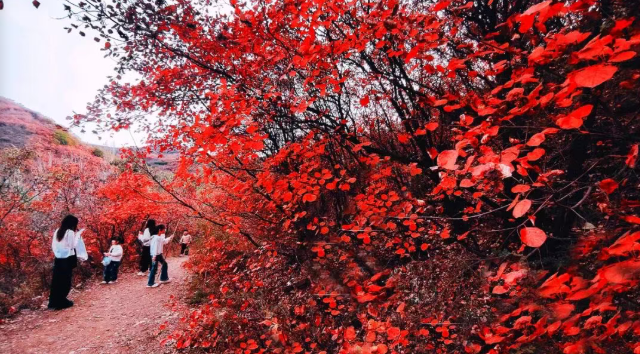 792b96ad32f33e58d257b092ba3c1dfc 792b96ad32f33e58d257b092ba3c1dfcpng