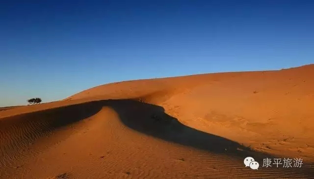 6404.webp 6404.webp.jpg