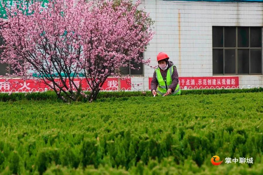 微信图片_20210324085116 微信图片_20210324085116.jpg