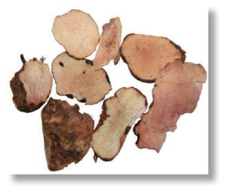 pagenumber_ebook=70,pagenumber_book=57