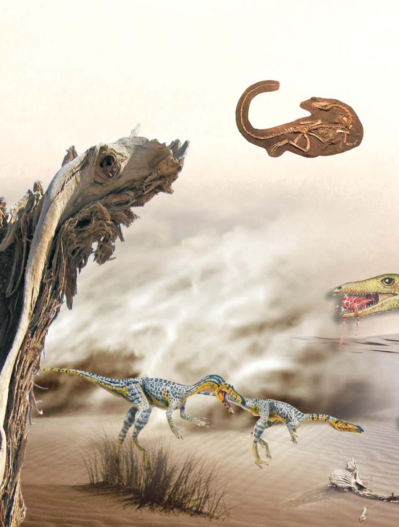 pagenumber_ebook=55,pagenumber_book=44