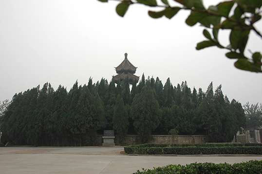 20170831094518909 20170831094518909.jpg