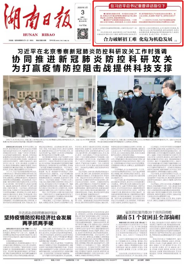 11 11.jpg?v=1765960245361