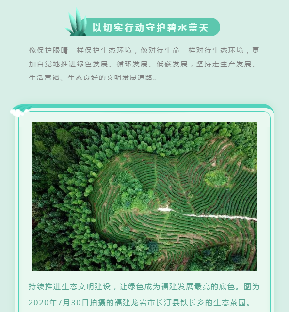 image.png?v=1754275592647