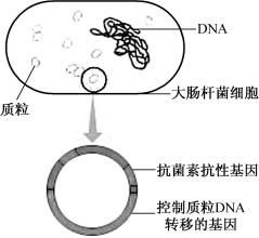 width=208,height=192,dpi=110