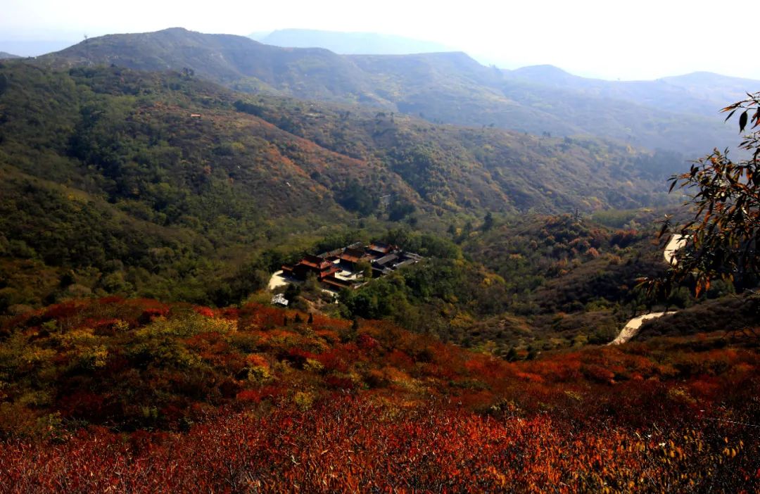 微信图片_20220804160956 - 副本