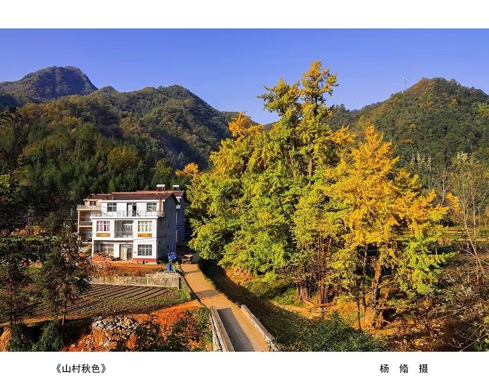 城固《山村秋色》杨翛 摄.jpg?v=1754571149901
