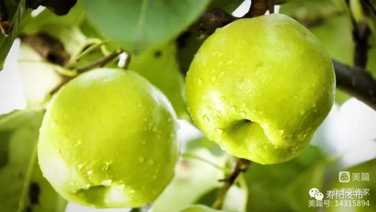 微信图片_20220531102329 微信图片_20220531102329.jpg