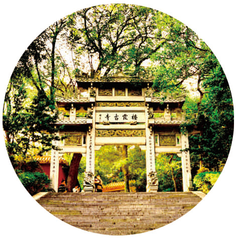 图片33 图片33.png