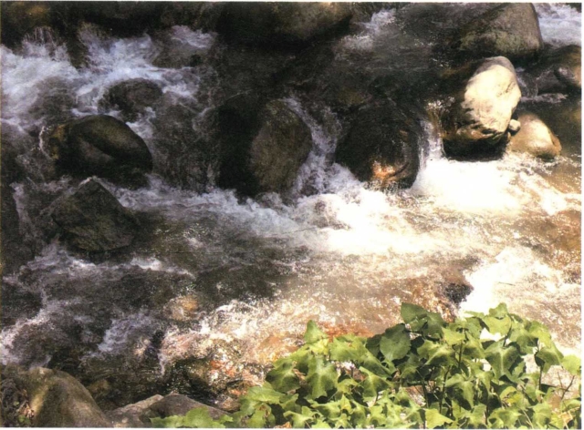 pagenumber_ebook=273,pagenumber_book=266