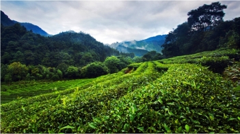 pagenumber_ebook=37,pagenumber_book=38