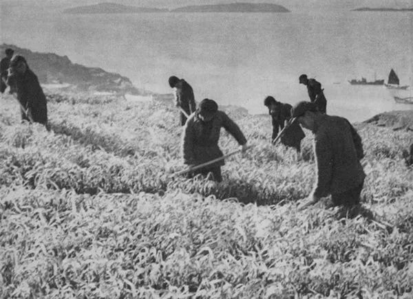 f611d5247d4bf746576f62c614e3b03f f611d5247d4bf746576f62c614e3b03f.jpg