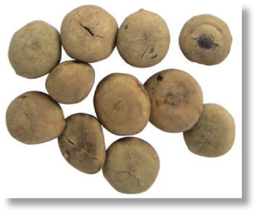 pagenumber_ebook=192,pagenumber_book=179