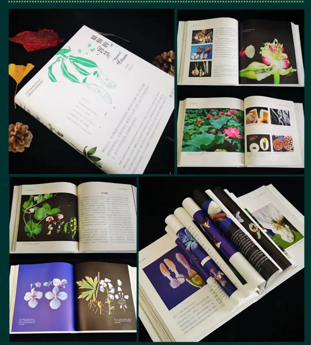 1927575308 1927575308.jpg