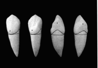 pagenumber_ebook=201,pagenumber_book=192