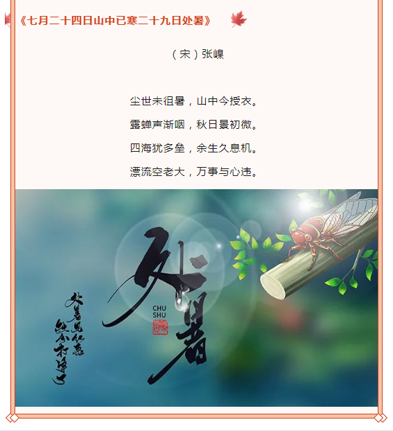 image.png?v=1750240634082