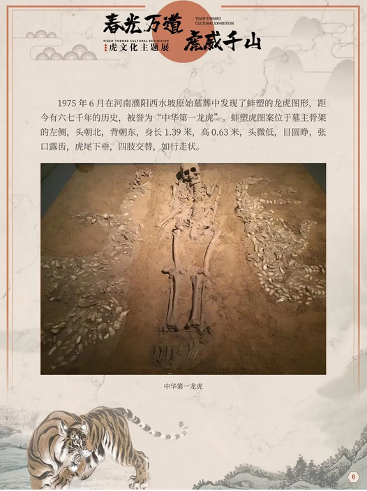 图片.png?v=1750142505724