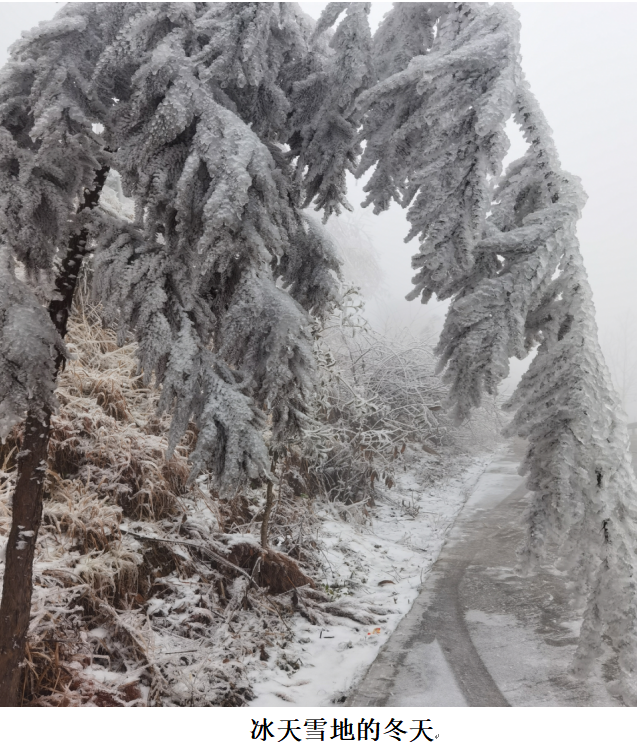 1732191090250 1732191090250.png