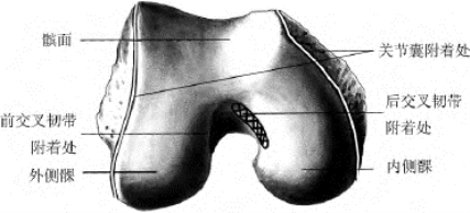 pagenumber_ebook=22,pagenumber_book=4