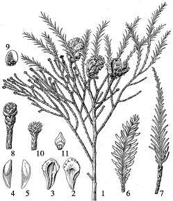 pagenumber_ebook=72,pagenumber_book=72