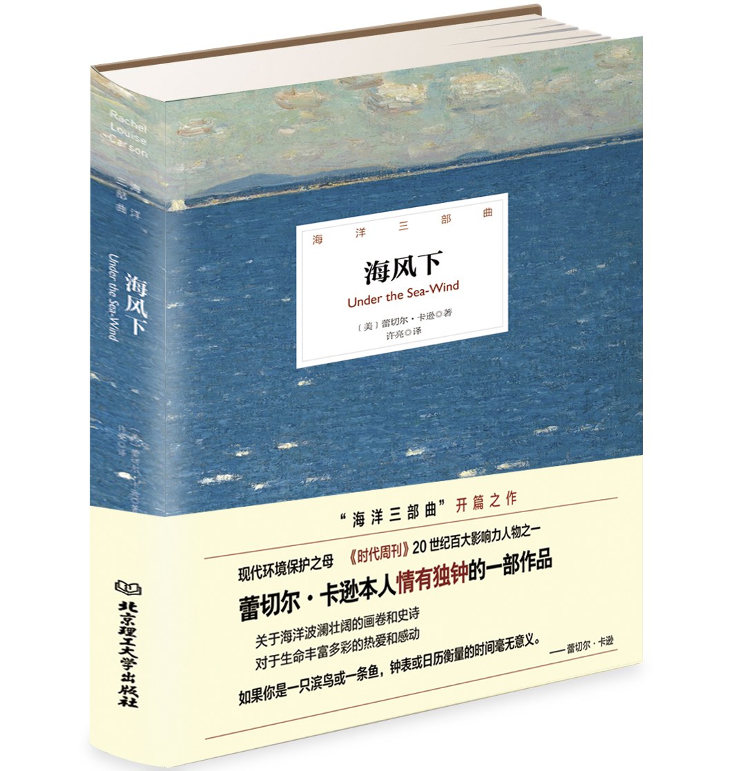 海风下 海风下