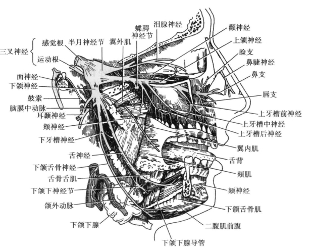 pagenumber_ebook=91,pagenumber_book=82