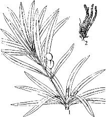 pagenumber_ebook=75,pagenumber_book=75