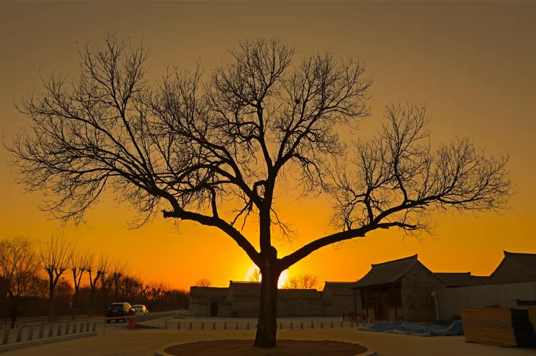 微信图片_20211128143210