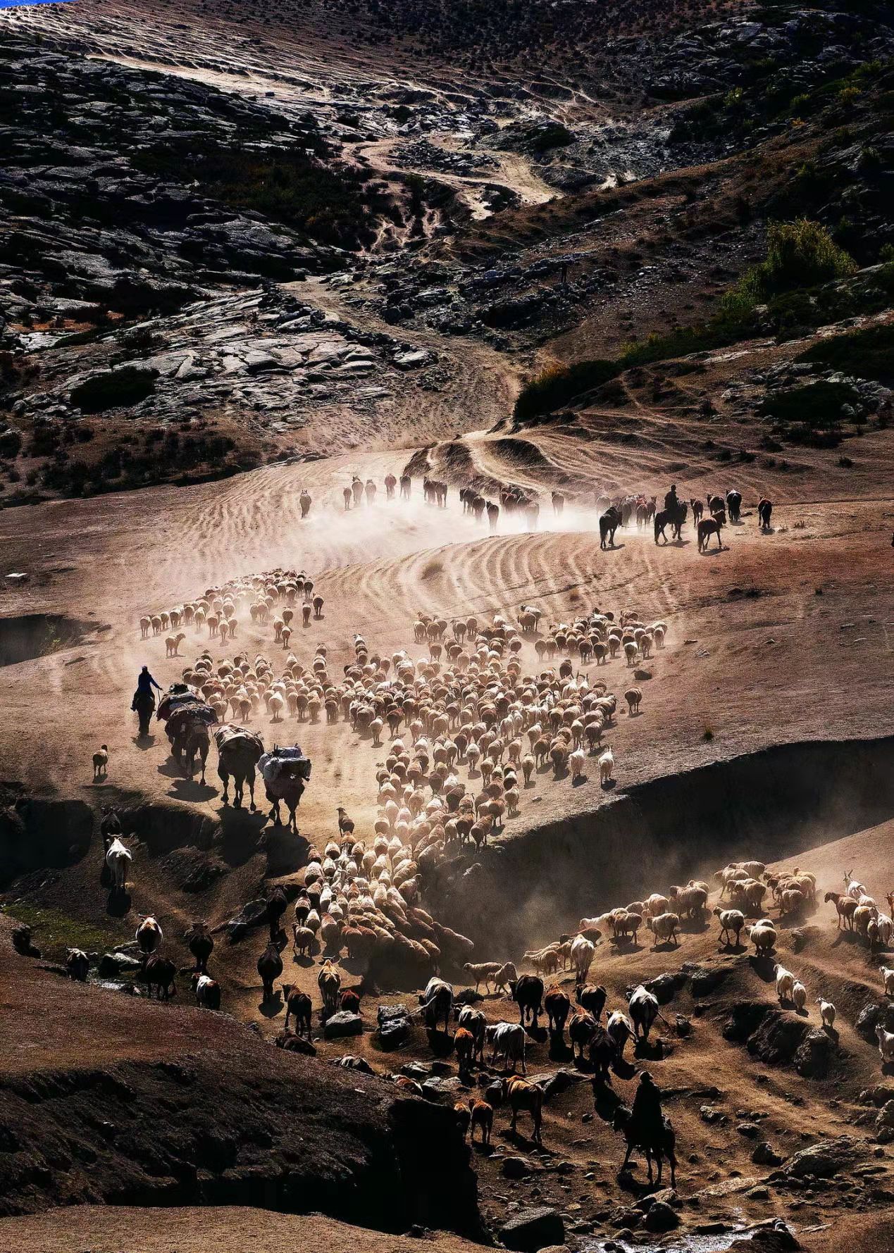 2a22c34fa7d2d2ef1f3a6c015d48da2 2a22c34fa7d2d2ef1f3a6c015d48da2.jpg?v=1763162774947