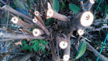 pagenumber_ebook=105,pagenumber_book=97