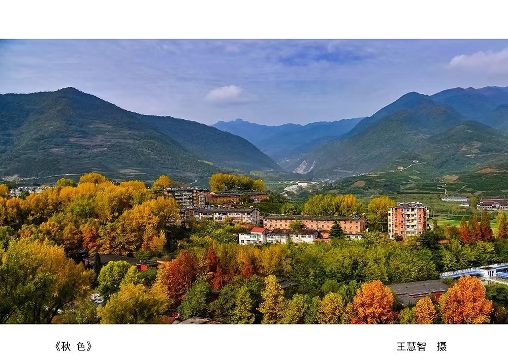 城固《秋色》王慧智 摄.jpg?v=1746609289657