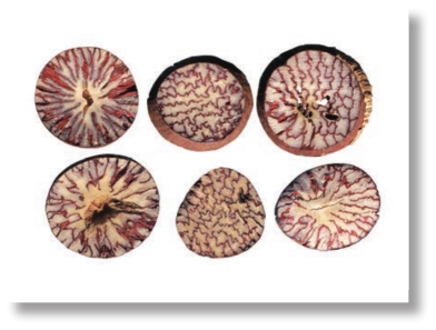 pagenumber_ebook=156,pagenumber_book=143