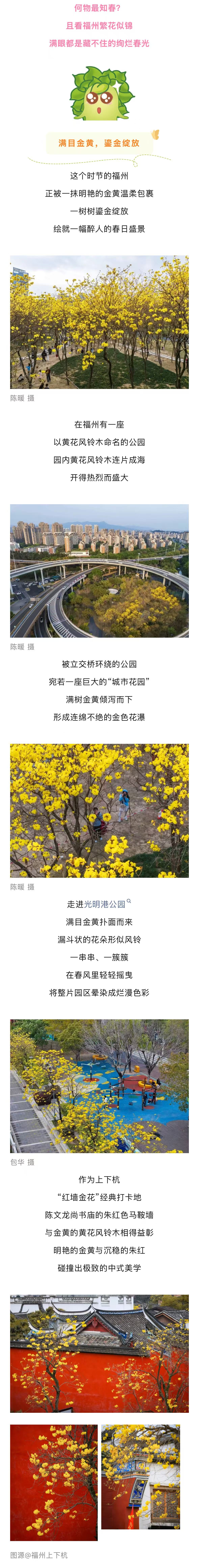 20260401【资讯】鎏金黄、梦幻紫、浪漫粉……福州的春色藏不住了！错过再等一年！2jpg