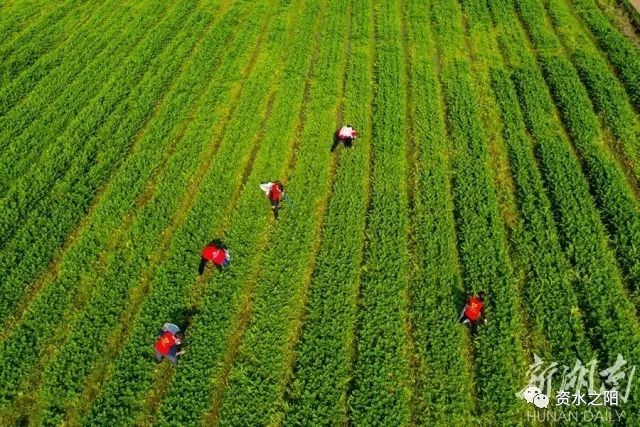 7 7.jpg?v=1765925647346