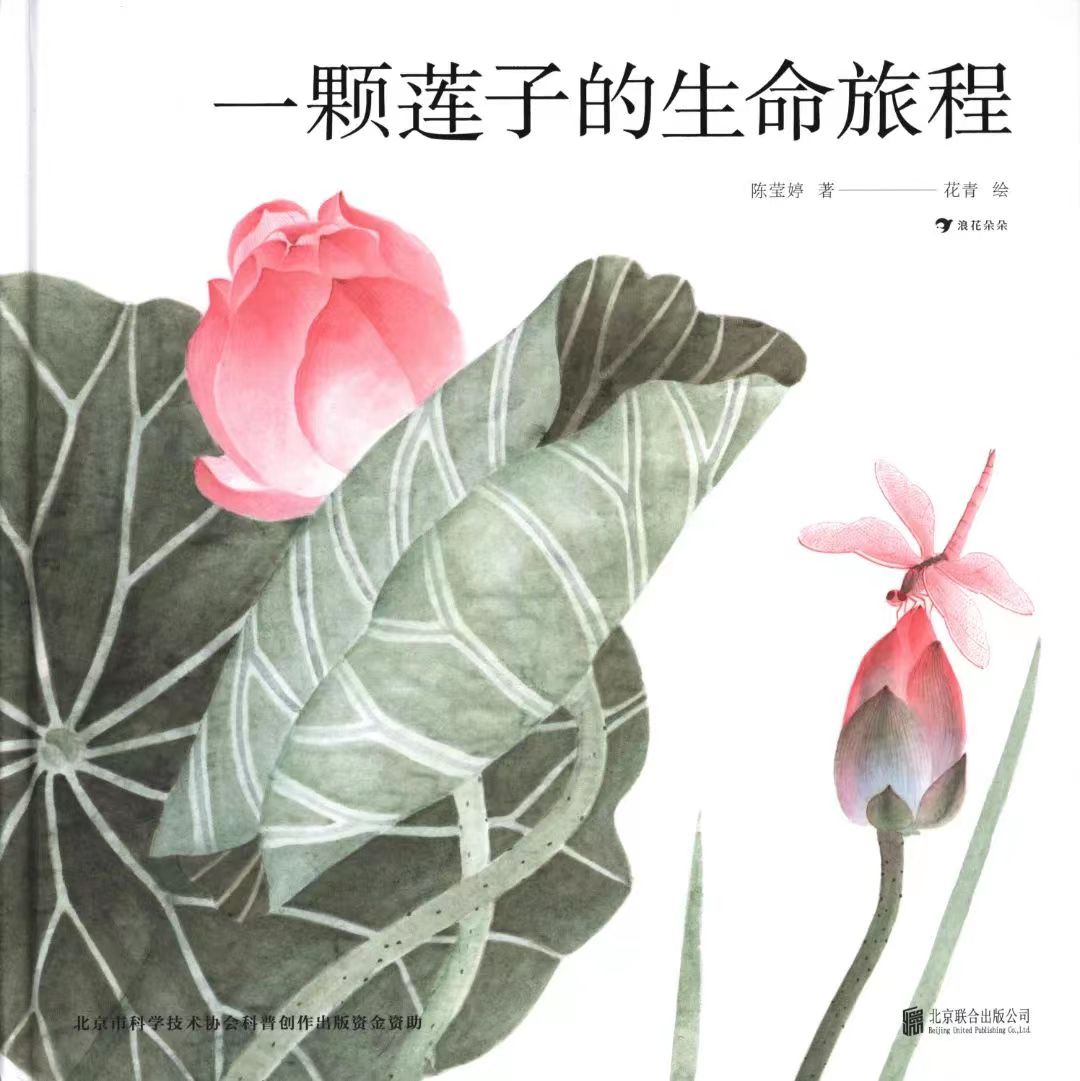 1741202381 1741202381.jpg