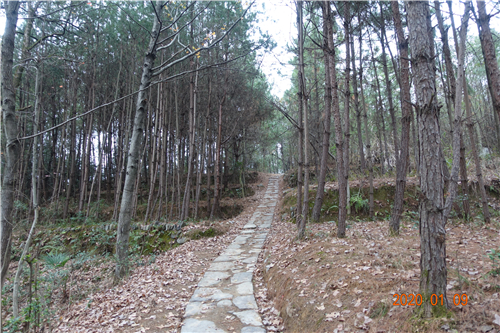 DSC07061 DSC07061.jpg