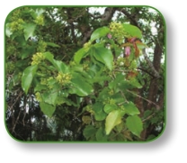 pagenumber_ebook=192,pagenumber_book=179