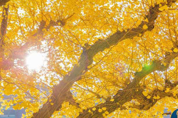 b4395bdaf440dbf68c9df8bf16bac1a