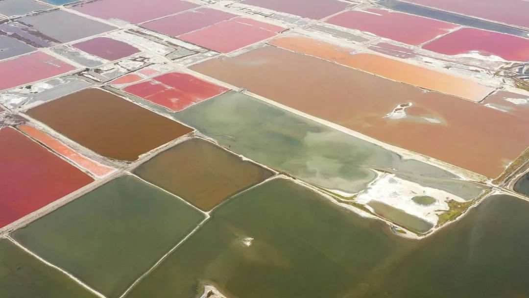 84caf1bdbf5c85bf74db628473aed01c_640_wx_fmt=jpeg&wxfrom=5&wx_lazy=1&wx_co=1 84caf1bdbf5c85bf74db628473aed01c_640_wx_fmt=jpeg&wxfrom=5&wx_lazy=1&wx_co=1.jpg