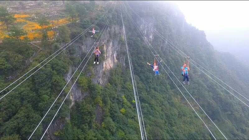 微信图片_20211110102458 微信图片_20211110102458.png