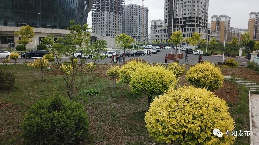 25dbe0663a36bba1ad21e756590d90b0_640_wx_fmt=jpeg&wxfrom=5&wx_lazy=1&wx_co=1 25dbe0663a36bba1ad21e756590d90b0_640_wx_fmt=jpeg&wxfrom=5&wx_lazy=1&wx_co=1.jpg