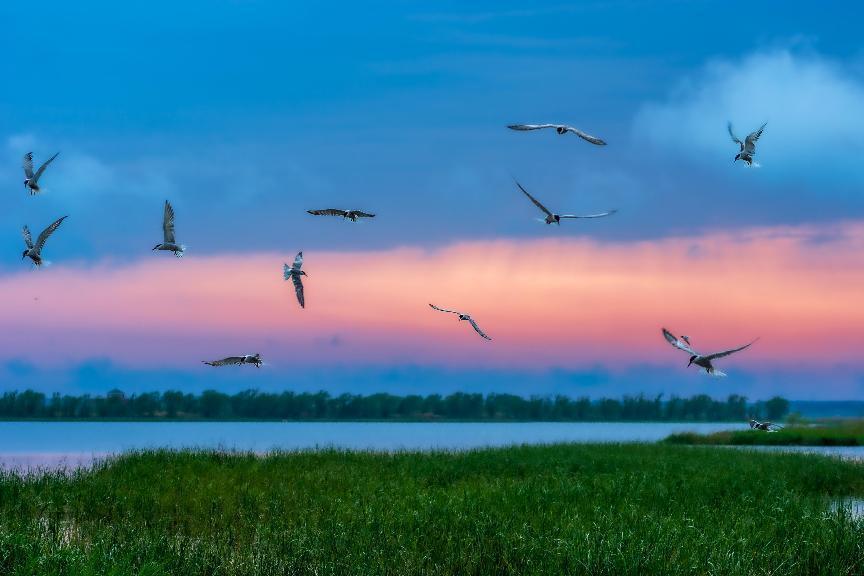 《欧舞》 潘庆涛