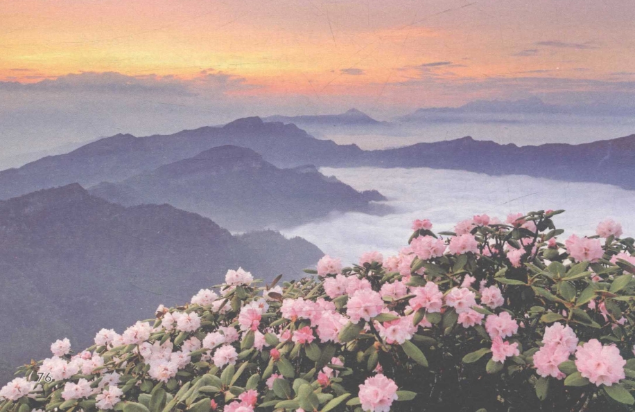 pagenumber_ebook=90,pagenumber_book=76