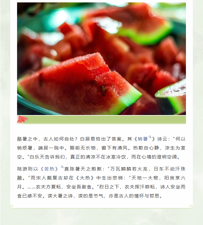 image.png?v=1785016524673