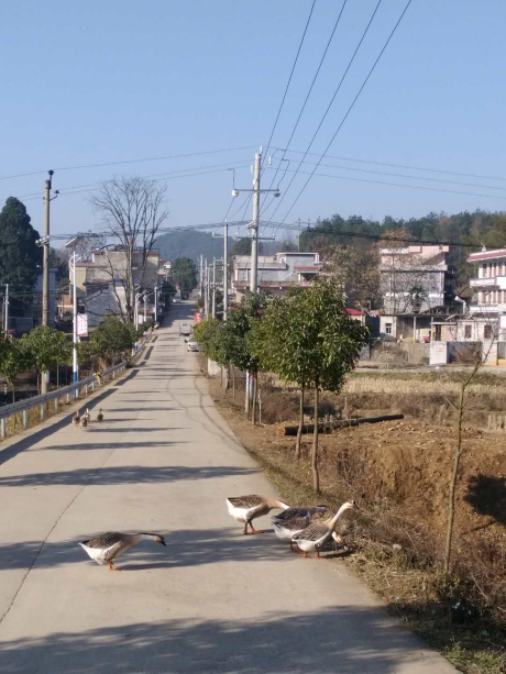 图片 45 图片 45.png