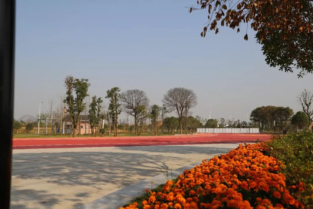 微信图片_20200713201509