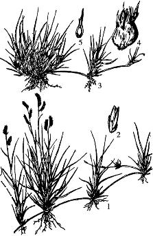 pagenumber_ebook=246,pagenumber_book=246