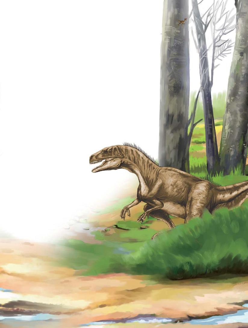 pagenumber_ebook=90,pagenumber_book=79