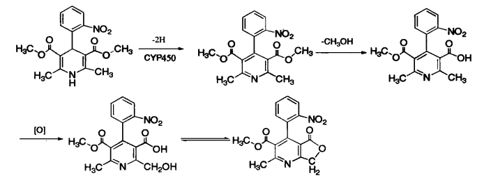 pagenumber_ebook=197,pagenumber_book=179