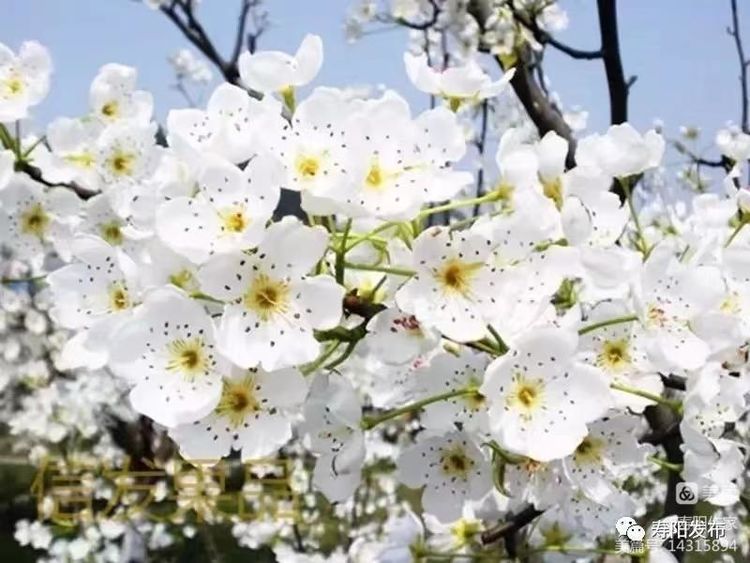 微信图片_20220531102324 微信图片_20220531102324.jpg